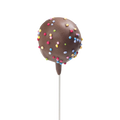 Cake Pop Double Chocolat