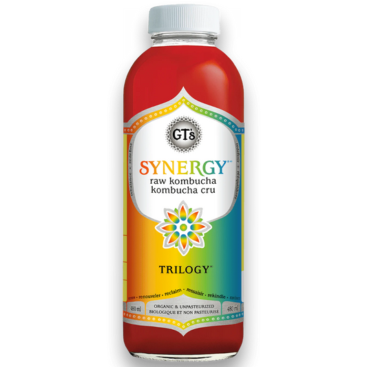 Gt's Synergy Trilogy Kombucha / 480ml