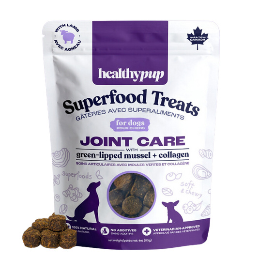 Healthy Pup Joint Care Superfood Treats / 113g